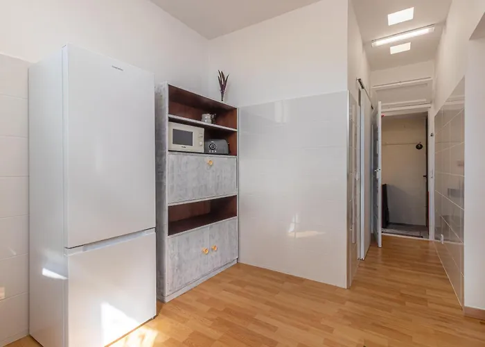 Bartolomeu Explorers